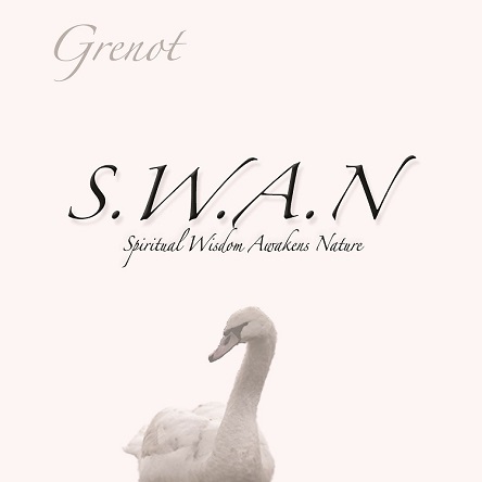 SWAN Meditation Music
