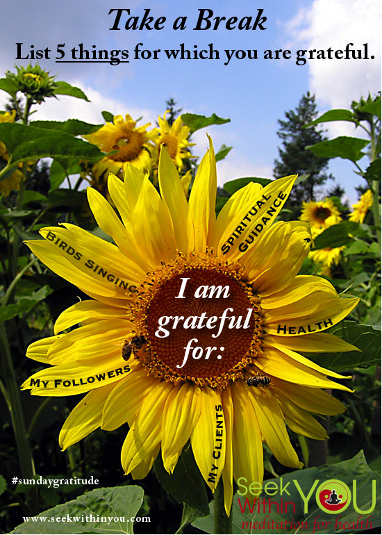 Gratitude to Raise your Vibration