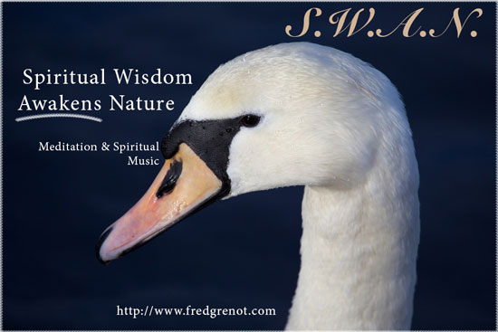 Swan Meditation Music